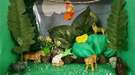 Tropical Rainforest Habitat Diorama Online Class Homework Noora 3rd Grade Youtube