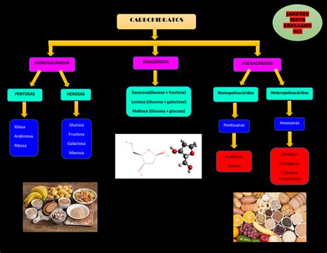 Mapa Conceptual De Carbohidratos L Pidos Y Prote Nas Con Sus Hot Sex