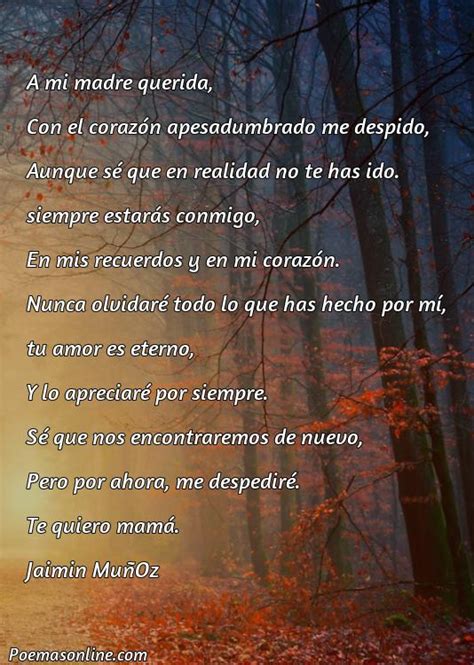 Cinco Mejores Poemas De Despedida A Una Madre Poemas Online