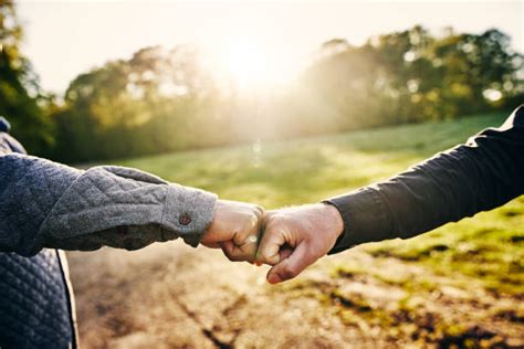 Boi Stock Photos, Pictures & Royalty-Free Images - iStock