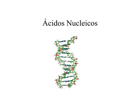 PDF Ácidos Nucleicos rosendosscienceroom files wordpress