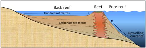 Landforms Of Coastal Deposition Physical Geology