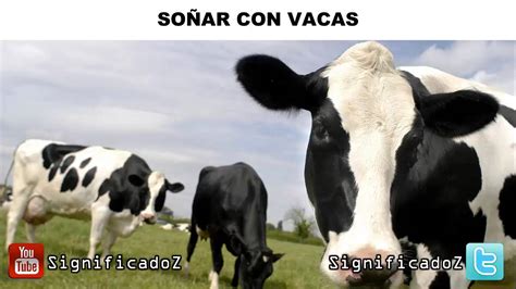 La Verdadera Historia Sobre Que Significa Soñar Con Vacas Que Los Expertos No Quieren Que Usted