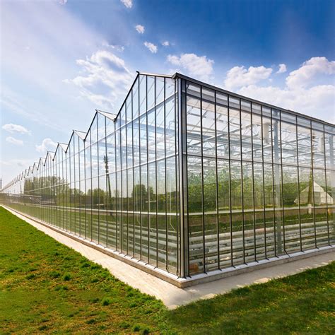 Sides And Top Ventilation System Multispan Glass Covered Venlo Type