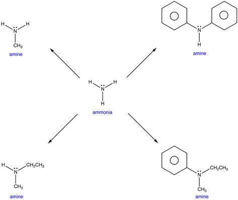 Amine Chemistry Libretexts