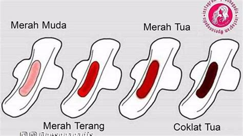 Implantasi Gambar Perbedaan Darah Haid Dan Darah Awal Kehamilan 10