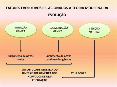 Ppt Teoria Moderna Da EvoluÇÃo Powerpoint Presentation Free Download