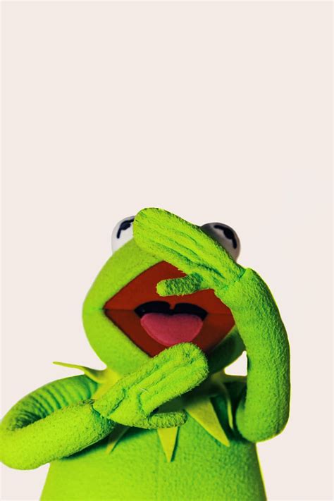 Hd Wallpaper Frog Puppet Kermit Fun Laughing Studio Shot Green