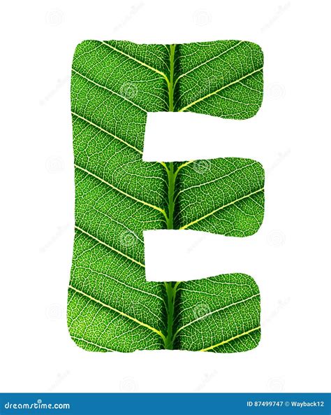 Green Leaf Texture Alphabet Stock Image Image Of Concept Leaf