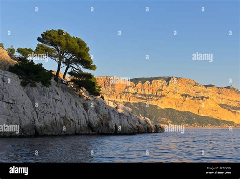 A boat tour along the spectacular Calanques National Park at sunset ...