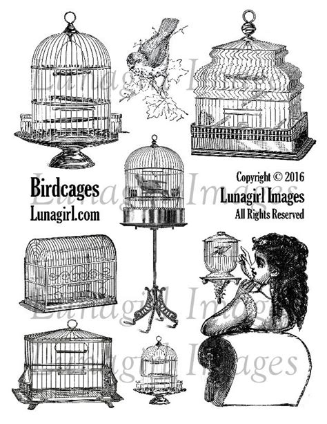 Vintage Birdcages Digital Collage Sheet Victorian Images Etsy