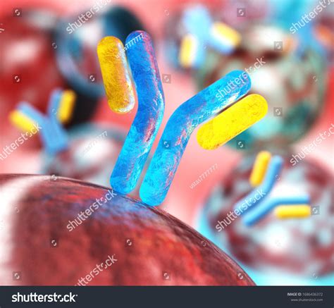 Antibodies Immunoglobulins Immune System 3d Rendering Stock