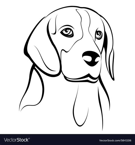 Beagle Royalty Free Vector Image Vectorstock