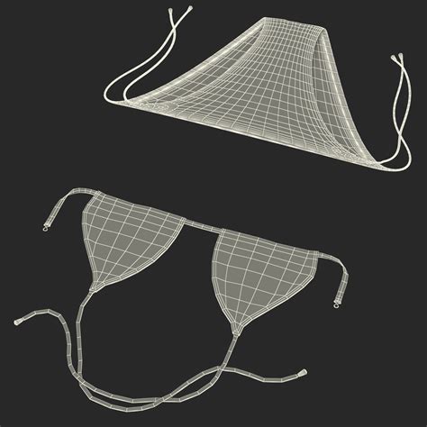 Bikini Set Modelo 3D 49 Max Ma C4d Obj 3ds Free3D