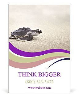 Olive Ridley Sea Turtle Hatchling Lepidochelys Olivacea Ad Template