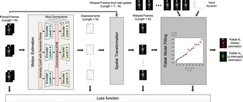 MCP Net Inter Frame Motion Correction With Patlak Regularization For