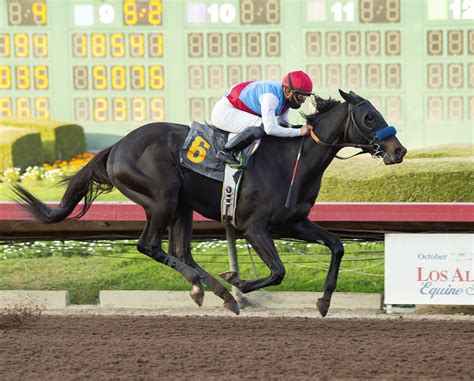 Thoroughbred season begins at Los Alamitos Race Course