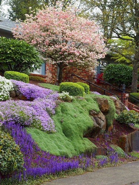 Low Maintenance Hillside Landscaping Ideas / Low Maintenance Hillside ...