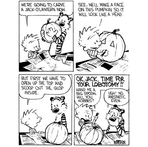 Calvin And Hobbes On Twitter Calvinandhobbes