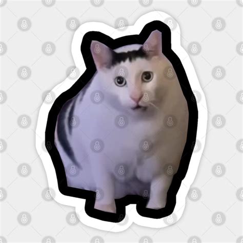 Huh Cat Meme - Huh Cat Meme - Sticker | TeePublic