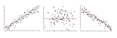 A Perfect Positive Correlation