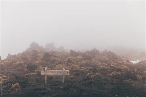 Warning Label In A Fog By Stocksy Contributor Andrey Pavlov Stocksy