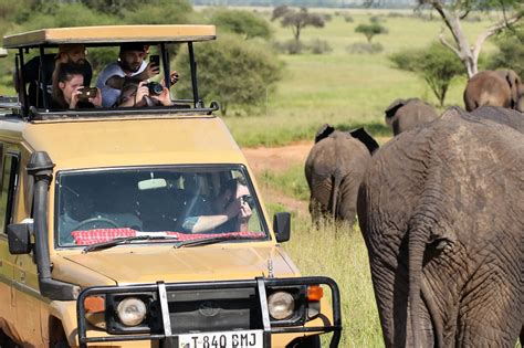 Reasons To Visit Tanzania Tanzania Safaris Tours Tanzania