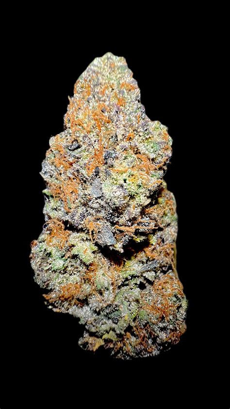 Mimosa | Hybrid Strain – Platinum Gardens