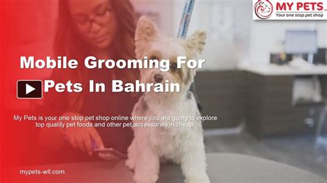 Ppt Mobile Grooming For Pets In Bahrain Powerpoint Presentation