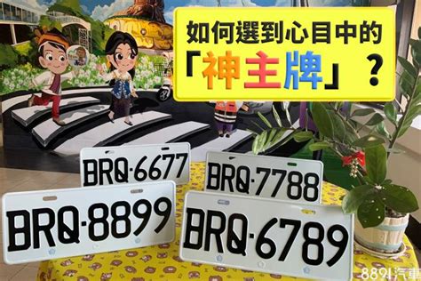 車牌怎麼選號碼新車領牌要花多少錢 8891汽車交易網 LINE TODAY