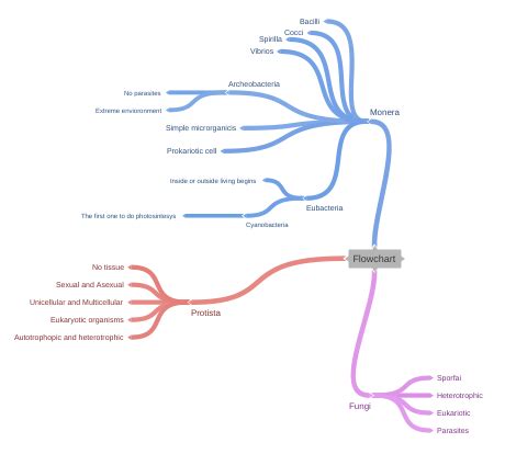 Flowchart - Coggle Diagram