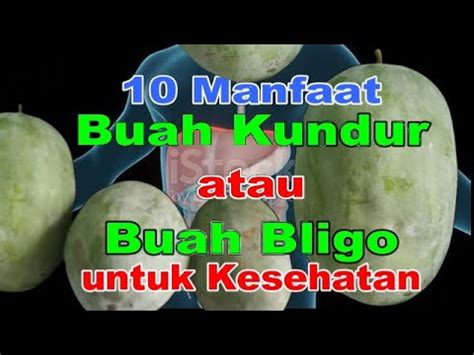 Cari Tahu Disini Manfaat Buah Kundur Atau Buah Bligo Untuk Kesehatan