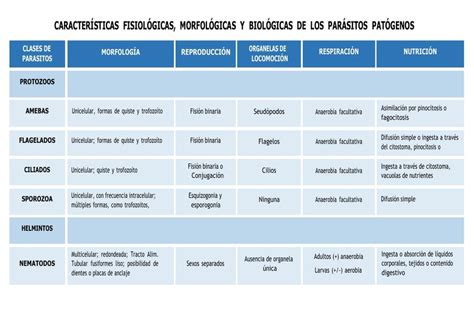 CARACTERÍSTICAS FISIOLÓGICAS MORFOLÓGICAS Y BIOLÓG Gianella Castillo