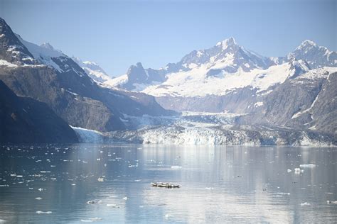 Alaskan Dream Cruise Small Ship Cruise to Glacier Bay (11) - With ...