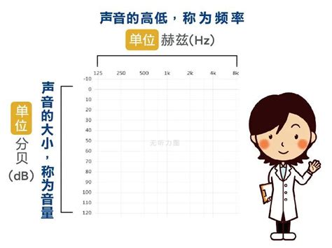 声蓝助听器：五分钟看懂听力图，让你了解自己的听力 哔哩哔哩