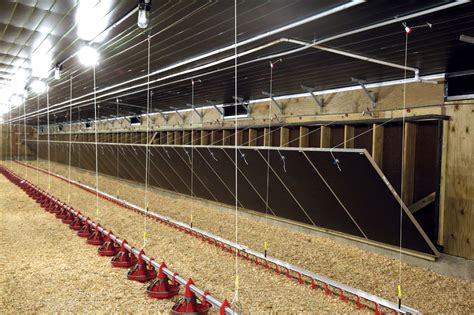 tego tunnel doors hog slat