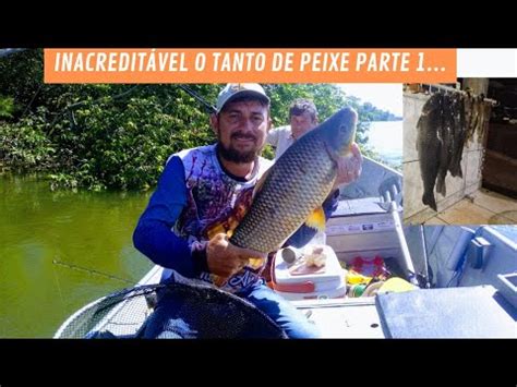 Inacredit Vel Quanto Peixe Pesca De Piau U E Piapara Porto Figueira