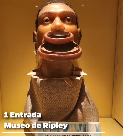 Museo De Ripley De La Cdmx