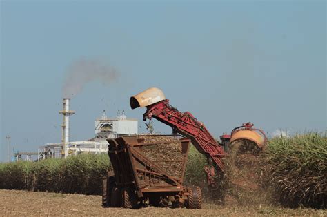 Cana De A Car Amea A A Floresta Amaz Nica Brasileira E O Clima Mundial