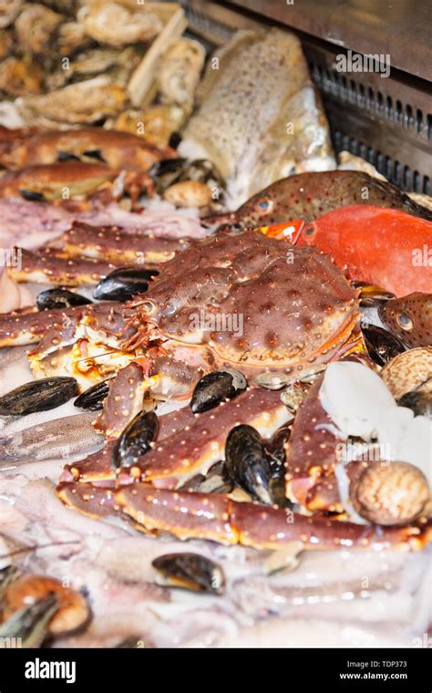 Gran Variedad De Pescados Y Mariscos En El Mercado De Pescado