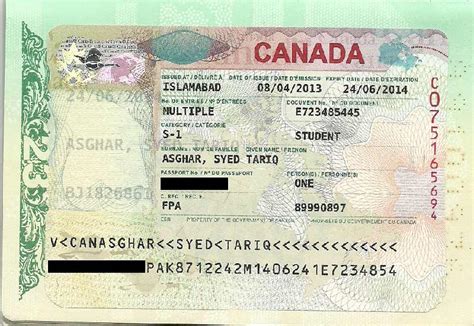 Visto Canadense Entenda o processo para tirar o seu através da Egali