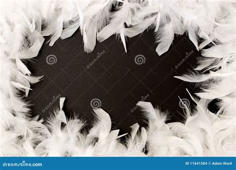 White Feather Border Stock Images - Image: 11641584