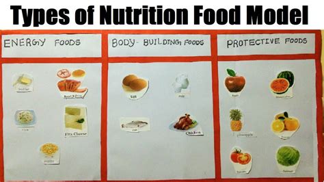 Types Of Nutrition Food Model Making Using Cardboard Science Project