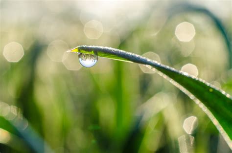 Fondos de pantalla luz de sol vistoso naturaleza césped amanecer