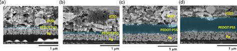 The Cross Sectional Focused Ion Beam SEM FIB SEM Images Of