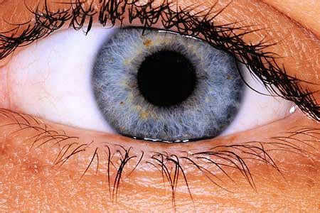 Pupilas Dilatadas O Midriasis Causas Y Tratamiento