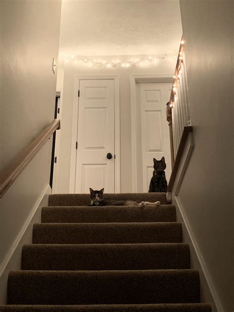 Best Stairwell Images On Pholder Room Porn Mildlyinteresting And Itookapicture