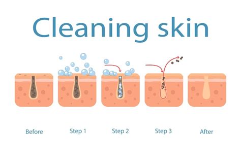 Pore Cleaning Vectors And Illustrations For Free Download Freepik