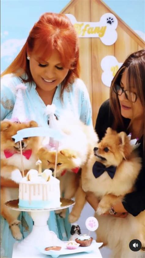 Magaly Medina Celebró A Lo Grande El Primer Año De Sus Perritos “los Bebés” Infobae