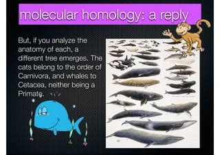 Molecular homology | PPT